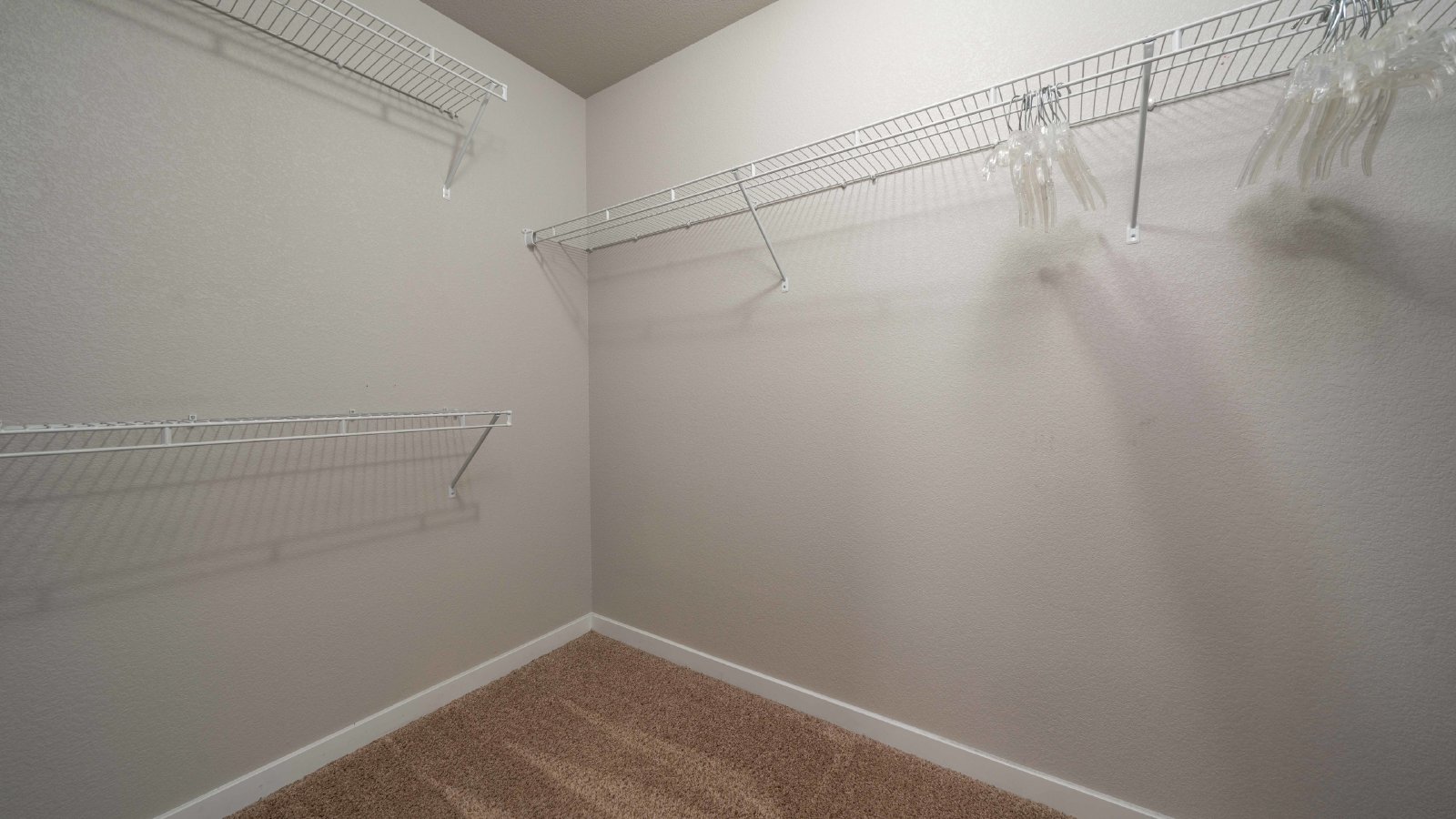 Furnished Rental in the Spring Creek Neighborhood property image