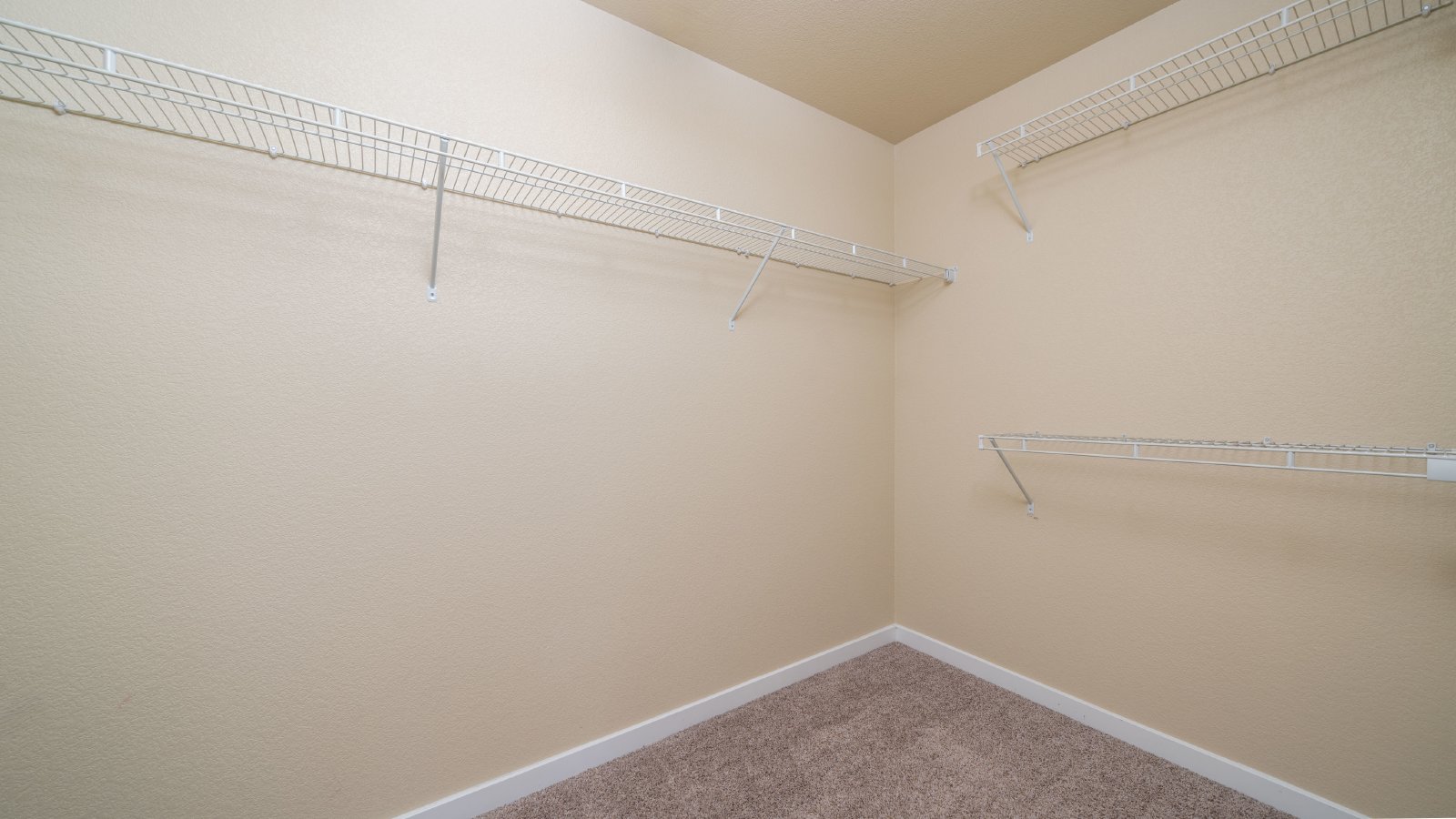 Craftsman Style Home In Spring Creek property image