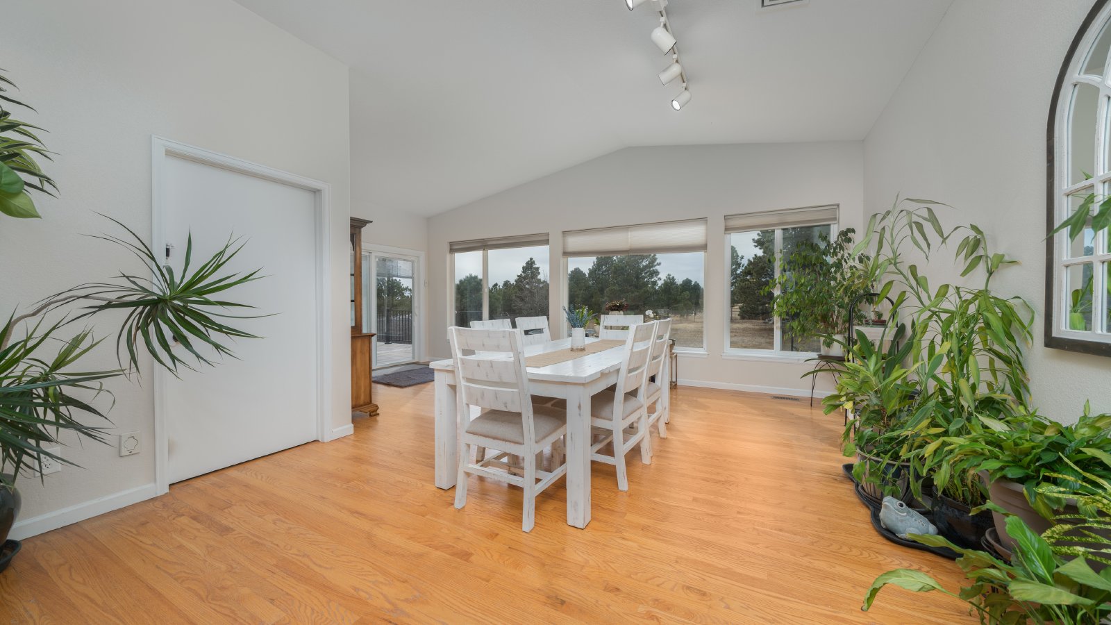 Country Living on 13.5 Acres property image